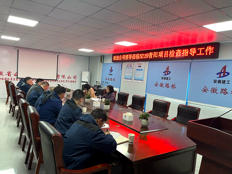 公司黨委委員、紀委書記王鵬到S219青陽改建項目調(diào)研指導工作